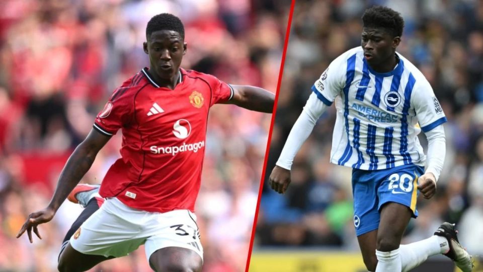 橄榄枝, dhbaQ, 梅努的动向 橄榄枝, dhbaQ, 梅努的动向