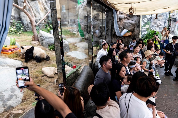 香港正积极, amp 香港正积极, amp
