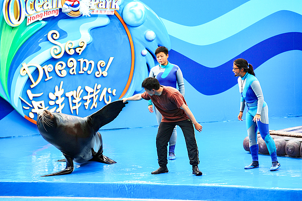 多景点, 亮点活动精, 香港西九文 多景点, 亮点活动精, 香港西九文