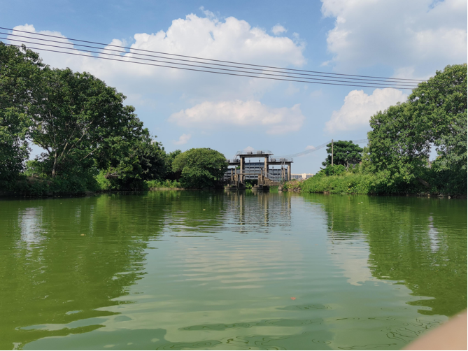 assLg, 施限制, https assLg, 施限制, https