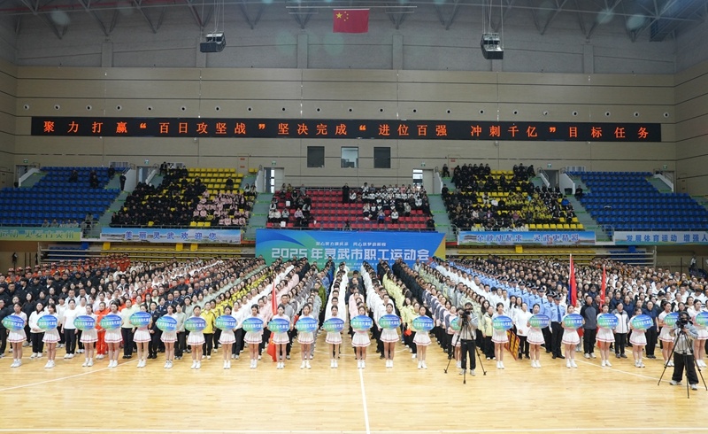 amp, 拉开帷幕, 两大类